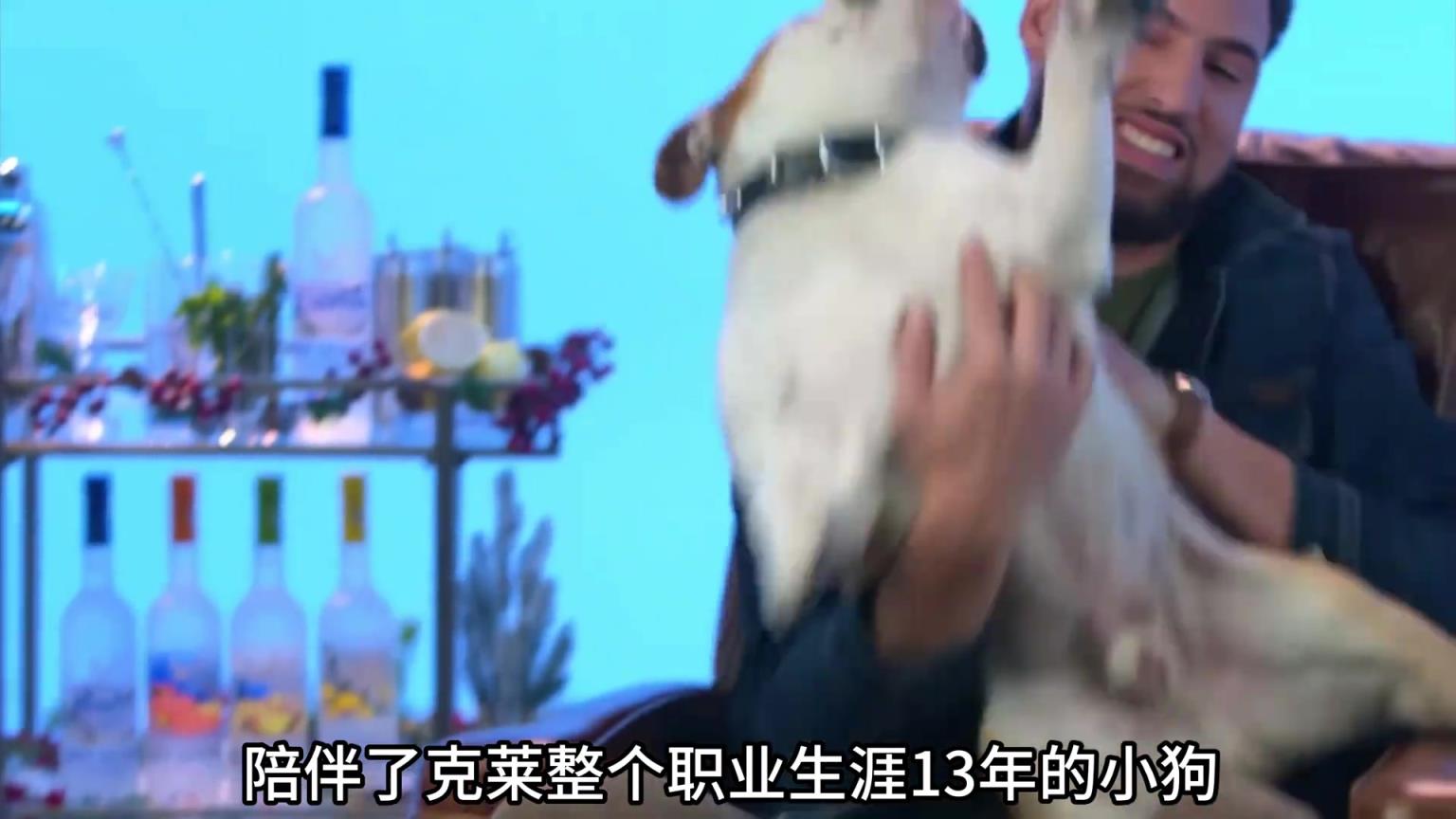 陪伴克萊13年的小狗去世了，不敢相信克萊得多么傷心